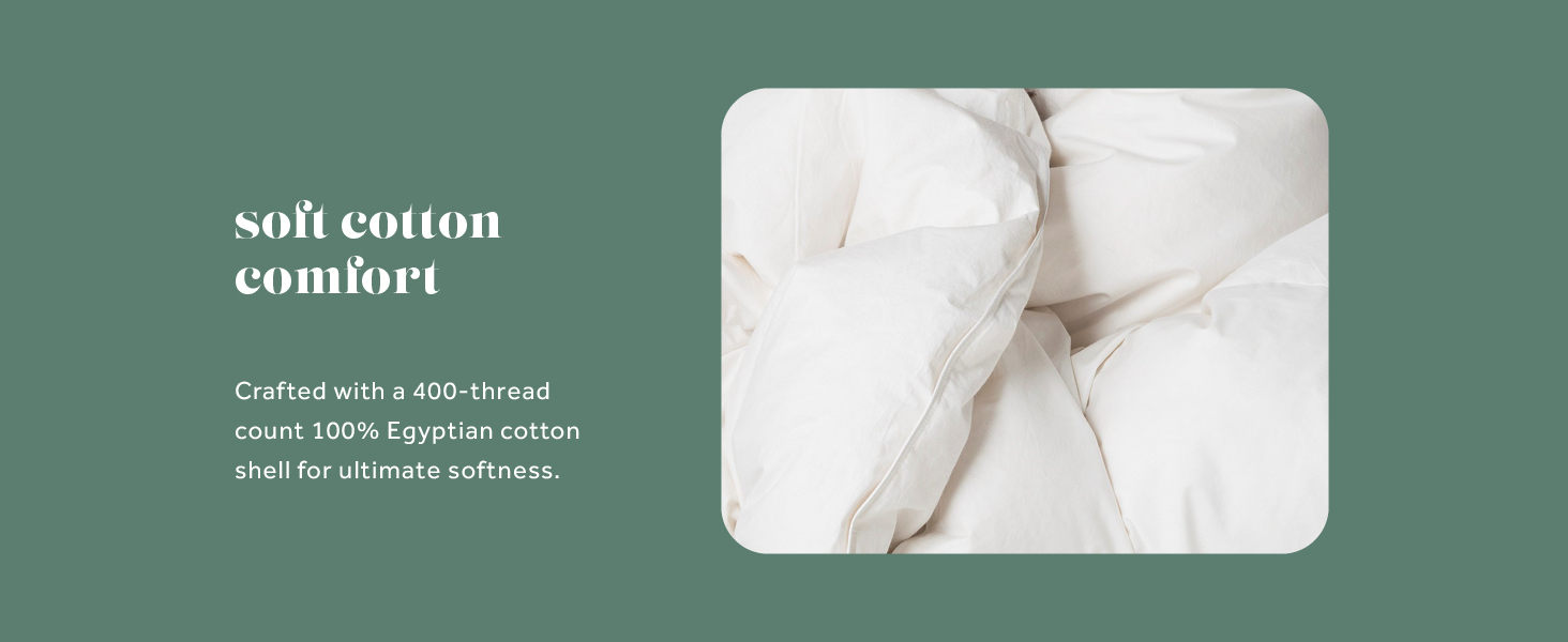 ComfyDown Goose Down White Comforter - All Season Washable Duvet Insert with Corner Tabs - King
ComfyDown Goose Down Whi 94ef051f 4579 4a09 A1a4 0a9322e40730. CR0,0,1464,600 PT0 SX1464 V1
