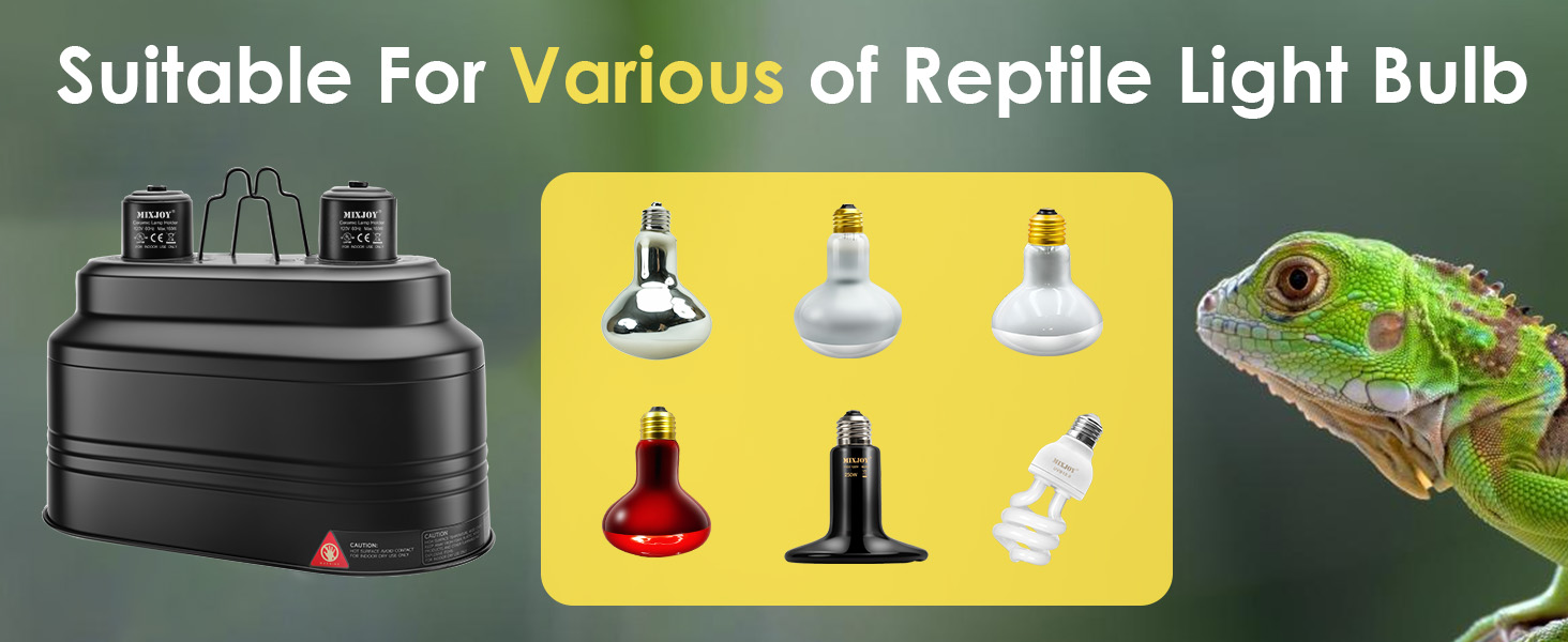 bearded dragon light fixture