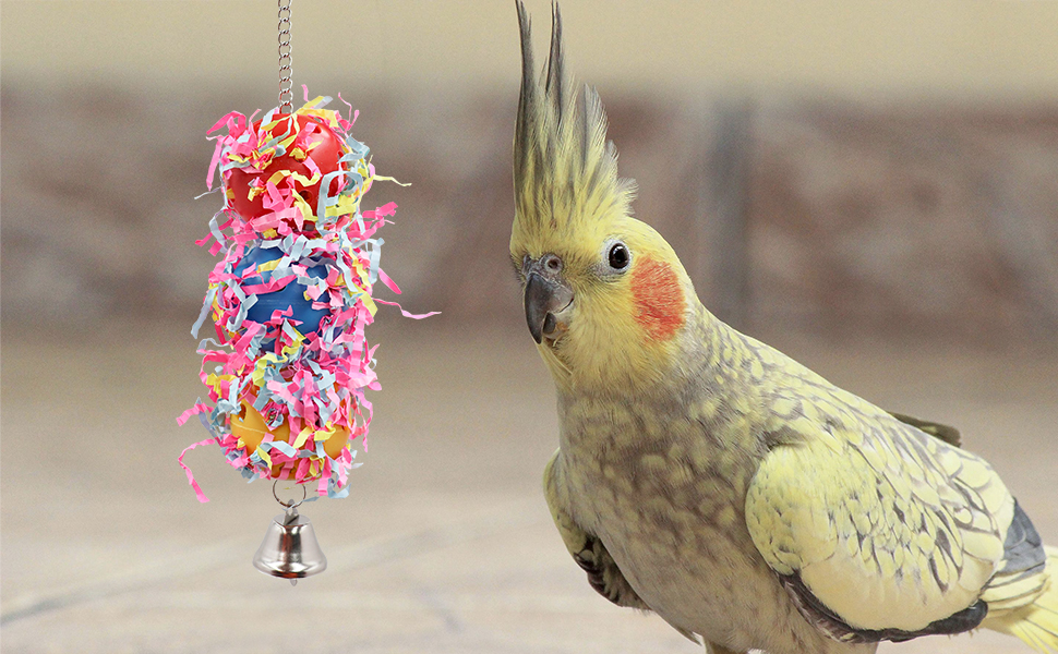 Bird Chew Toys