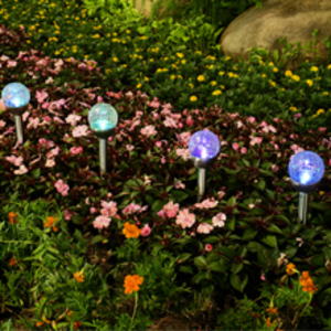 Solar Landscape Lights
