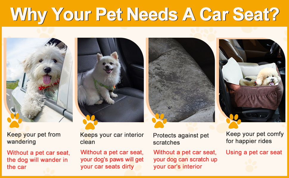 why your pet needs a car seat?