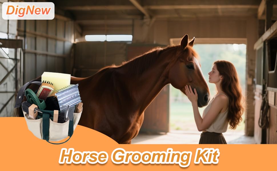 horse grooming kit