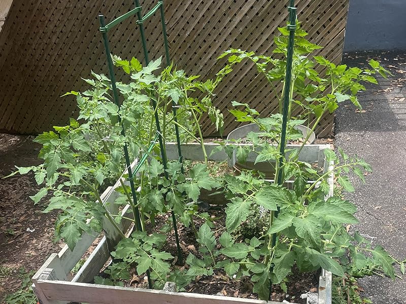 Garmeinea Garden Stakes 57 Inches Plastic Coated Steel