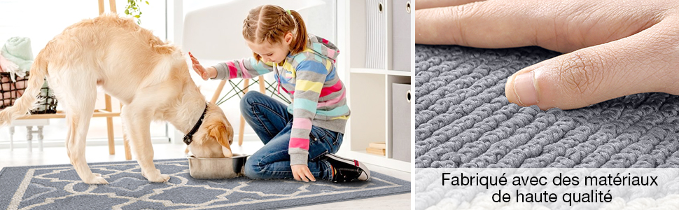 LECHUANG Paillasson Antidérapant,Tapis De Porte Intérieur Et Extérieur Absorbant Et Résistant,Tapis D'entrée Lavable En Machine,Anti-Poussière - 50 X 80 Cm,Vert 12 paillasson exterieur