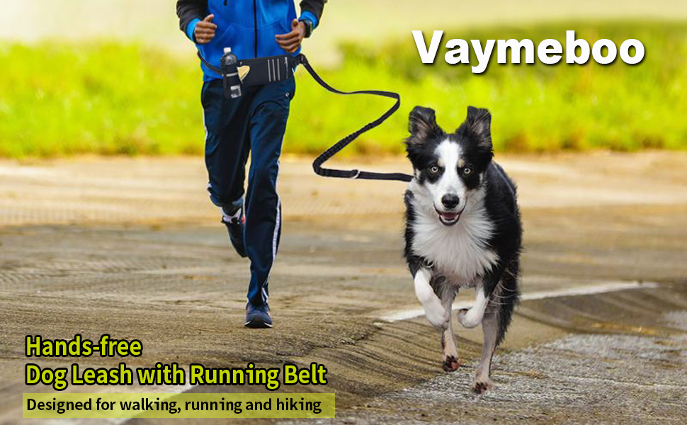 Hands free dog leash