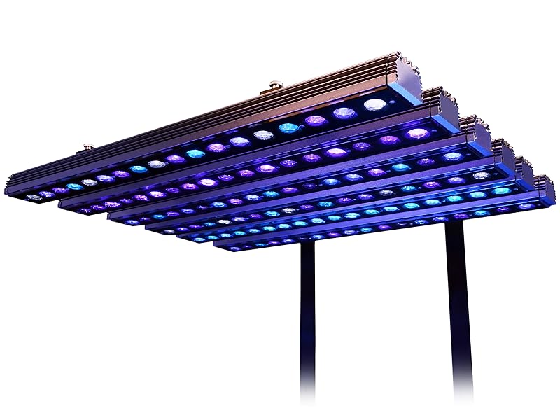 Amazon.com : Orphek OR4 iCon LED Bar (Blue Plus, 90) : Pet