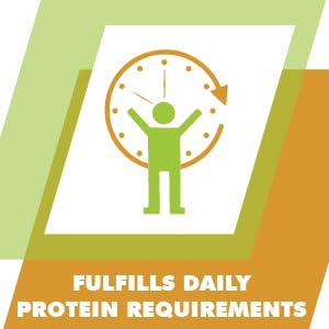 Protein Requirements