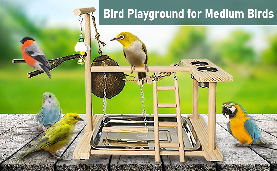 Hamiledyi Bird Playground for Conures Parrot Playstand