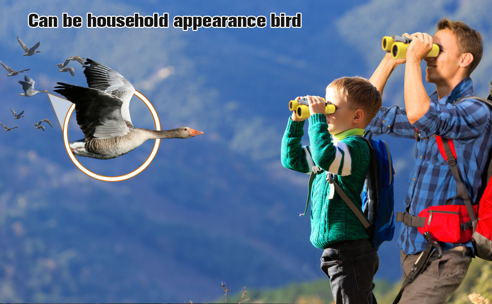 binoculars for bird  watching night vision binoculars kids binoculars bushnell binoculars