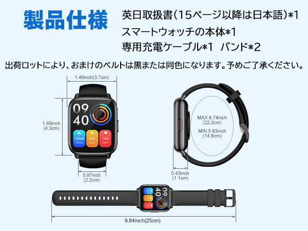 H1_JP