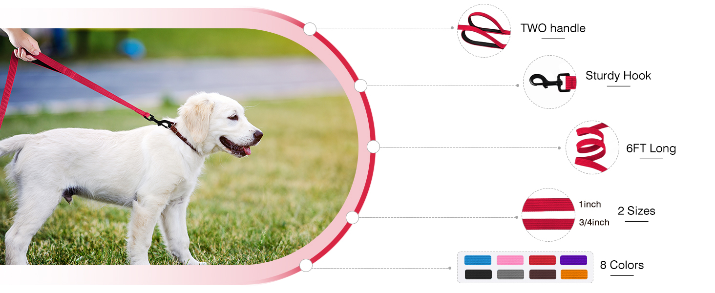 6FT Dog Leash for Large Medium Small Dogs