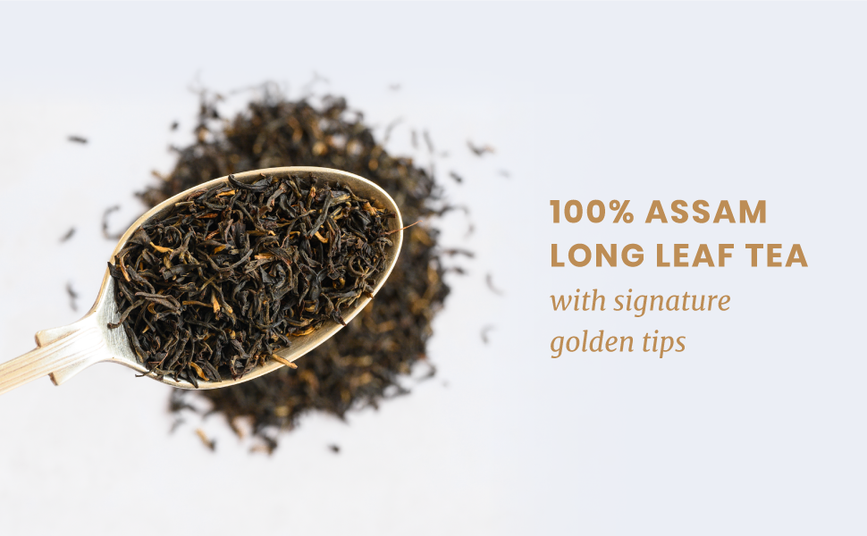 Mcleod russel 1869 assam classic tea bag Black tea 100% whole leaf