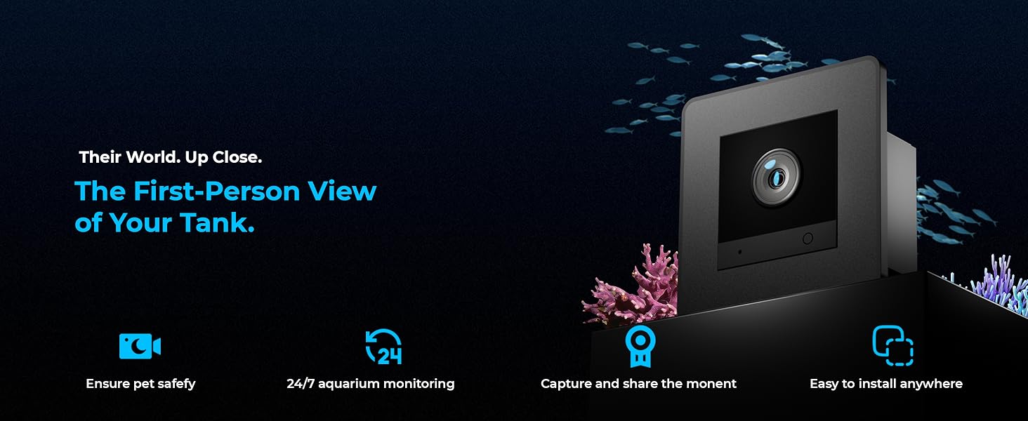 First View of Your Tank