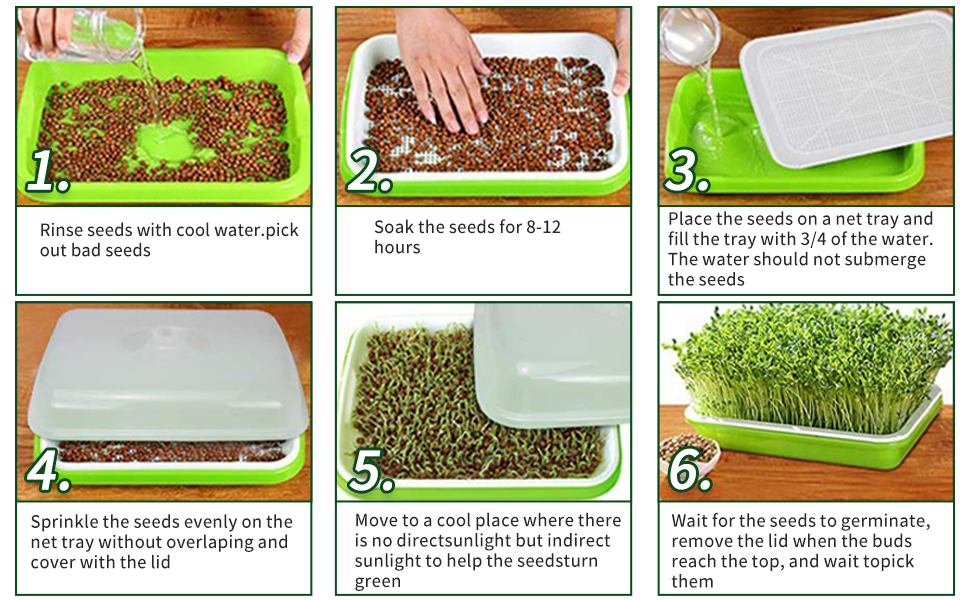 ECOSTYLELIFE 5 Pack Seed Sprouter TraySoilFree