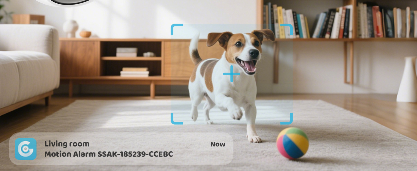 Pet Security Camera