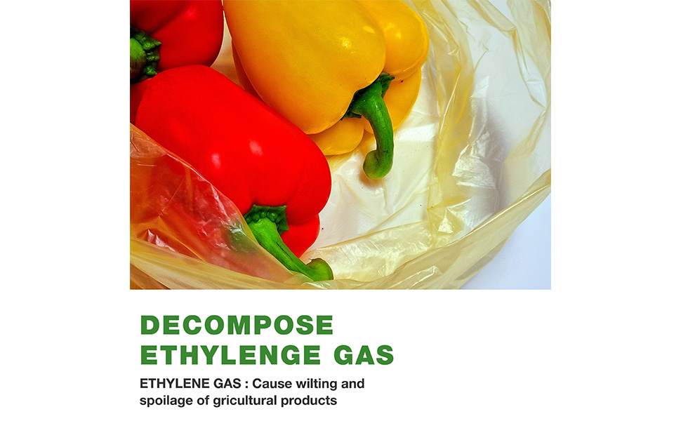 YoojungLab Prime, Reusable Food Storage Bag, 16.44" 20.6