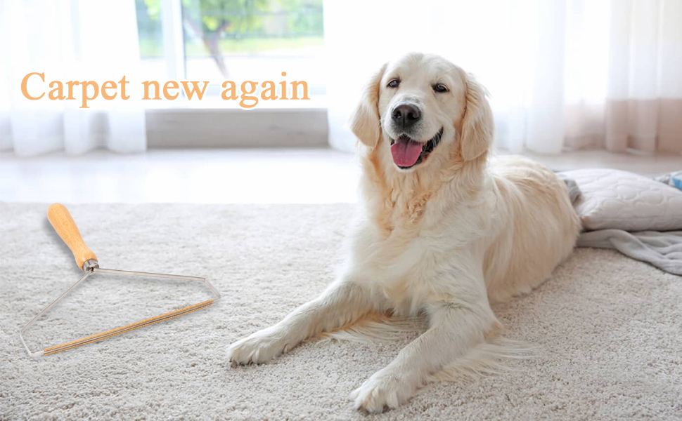 carpet new again