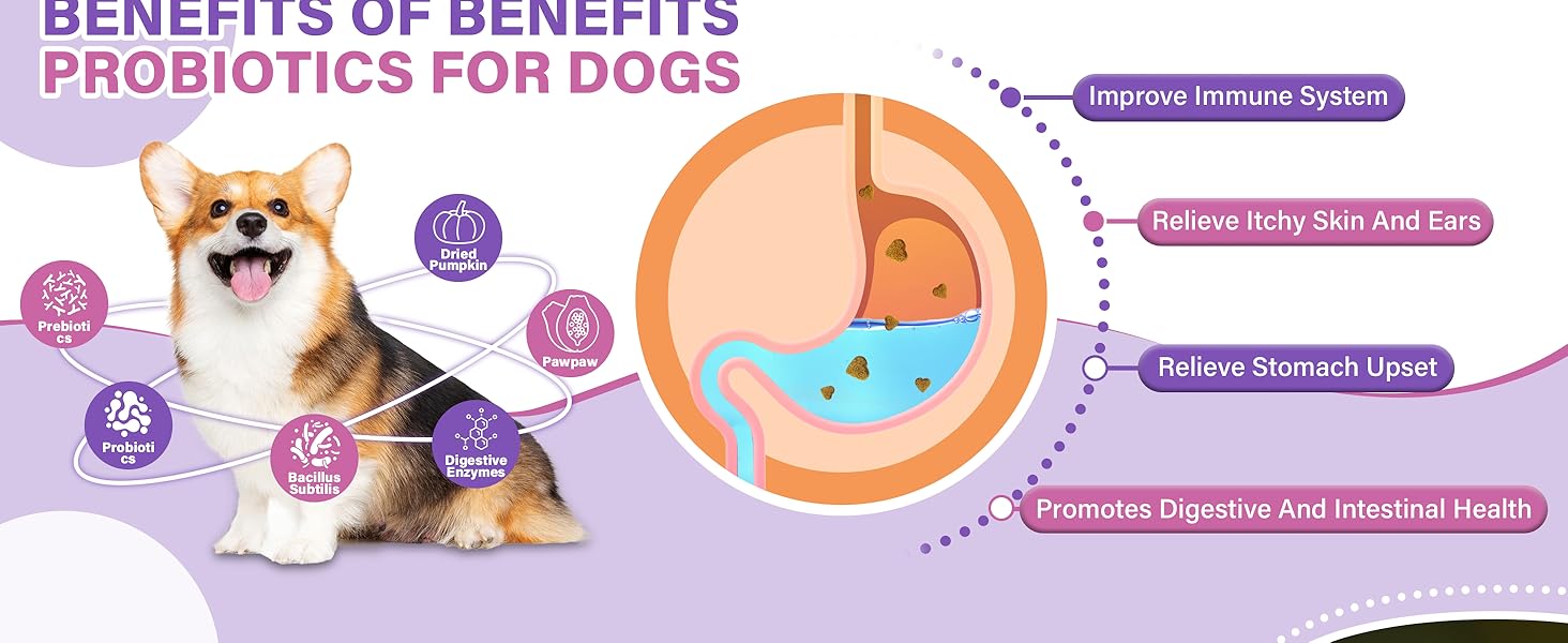 Probiotics for Dogs