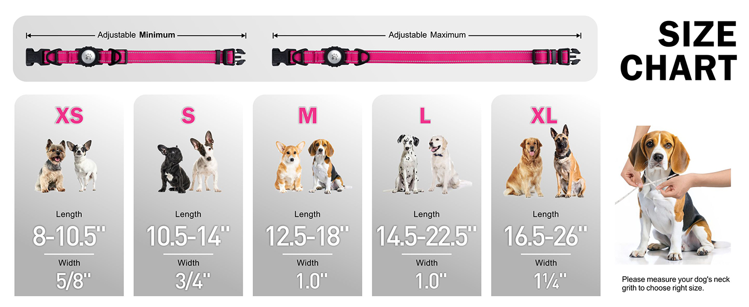dog collar airtag