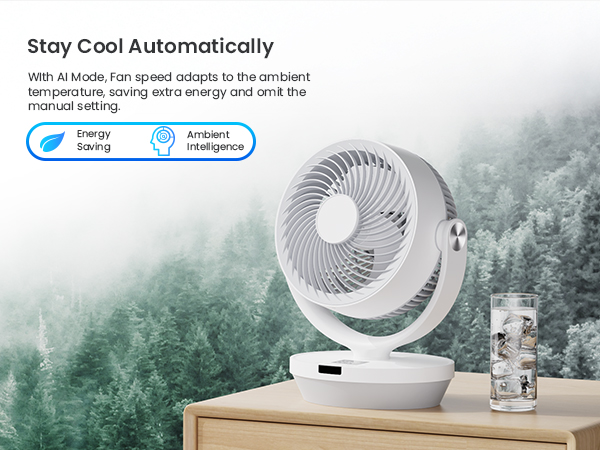 Amazon.com: Fan for Bedroom, 13