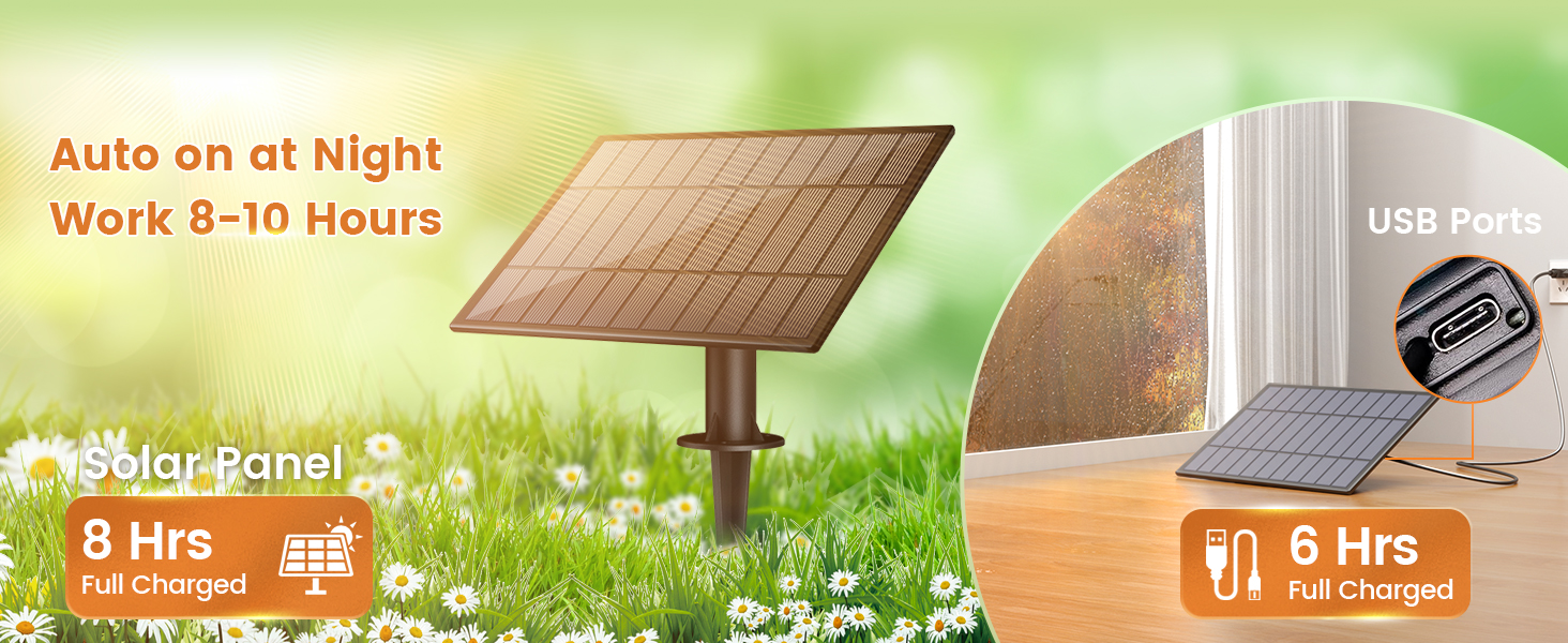 solar string lights outdoor