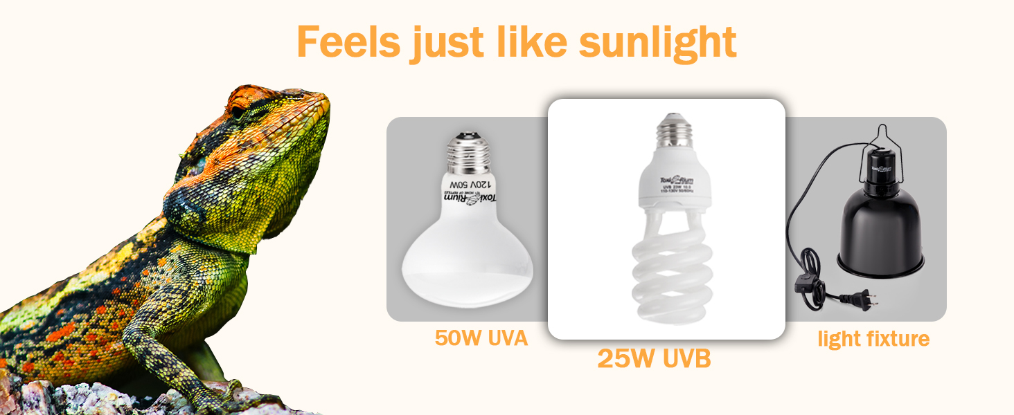 reptile UVB light