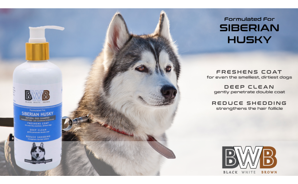 Buy BWB Natural Dog Shampoo for Siberian Husky .PARABEN Free+Alcohol