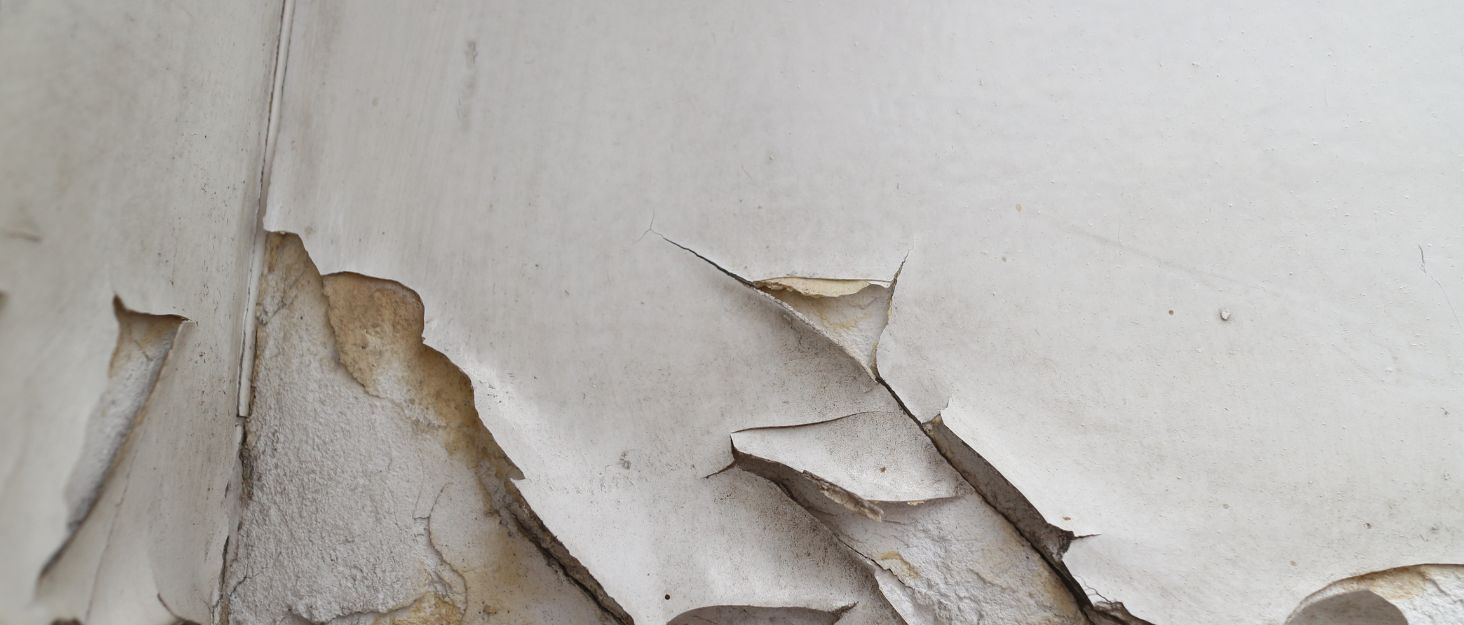 Lead Stop Professional Lead Encapsulant - Background