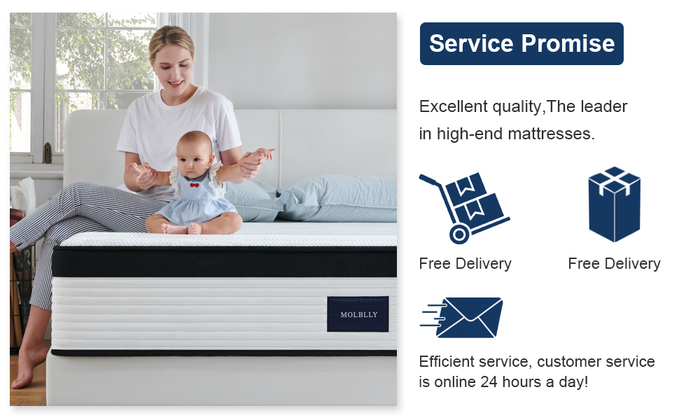 Queen Mattress,Molblly Spring Queen Mattress Medium Firm Pocket Coils