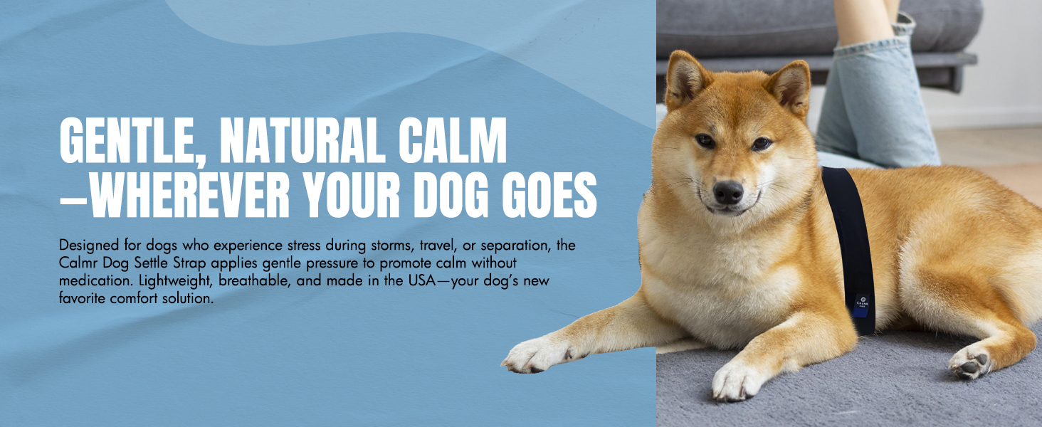 settle strap harness relief adjustable gentle support training tool secure soft comfortable thunder