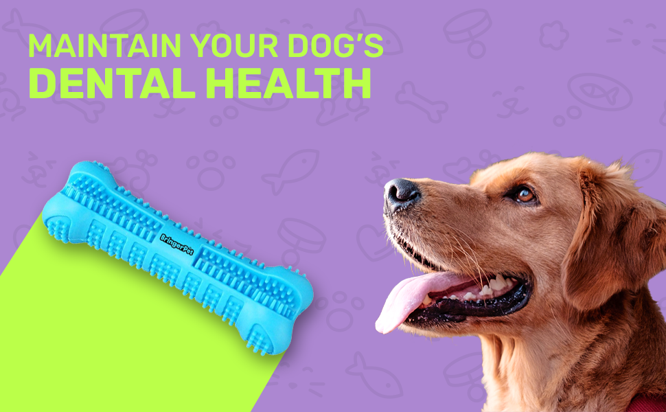 Dog Toothbrush with Toothpaste Reservoir Dog Toothbrush