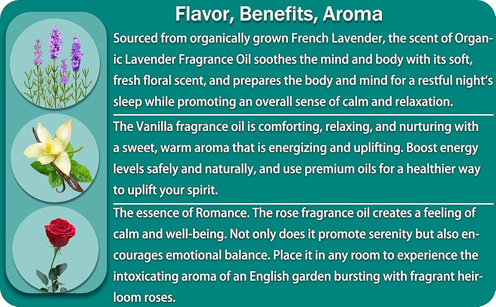 Binca Vidou Reed Diffuser Set of 3, Lavender Rose Vanilla Oil Reed Diffusers for