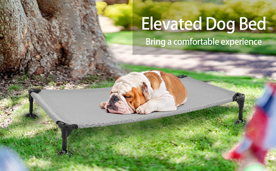 Large Elevated Dog Bed, Portable Raised Pet Cot, Chew