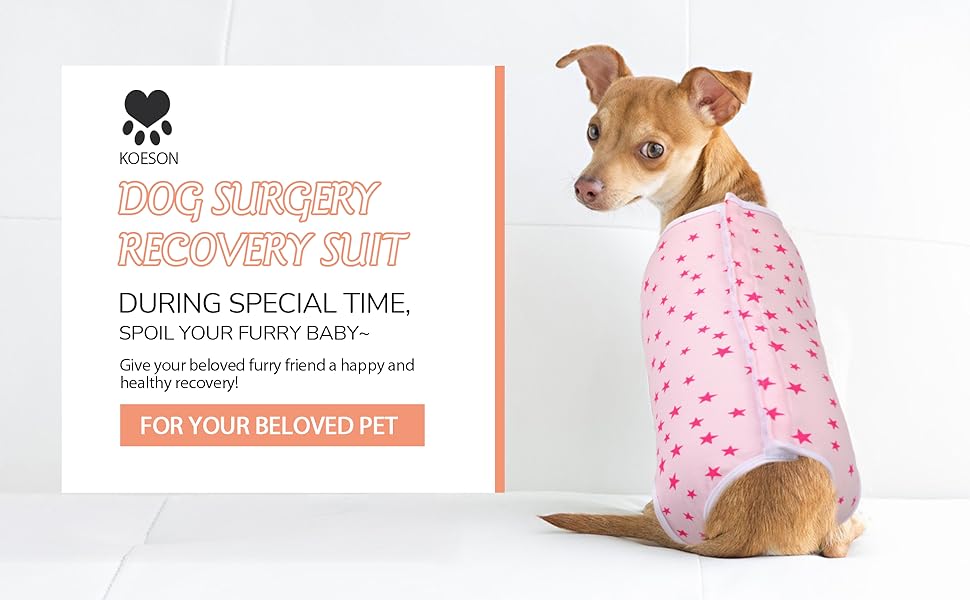 KOESON Recovery Suit for Female Dogs, Dog Recovery Suit