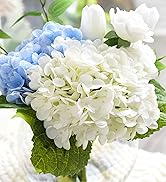 Amazon.com: FiveSeasonStuff Pinkish Red and Dusty Pink