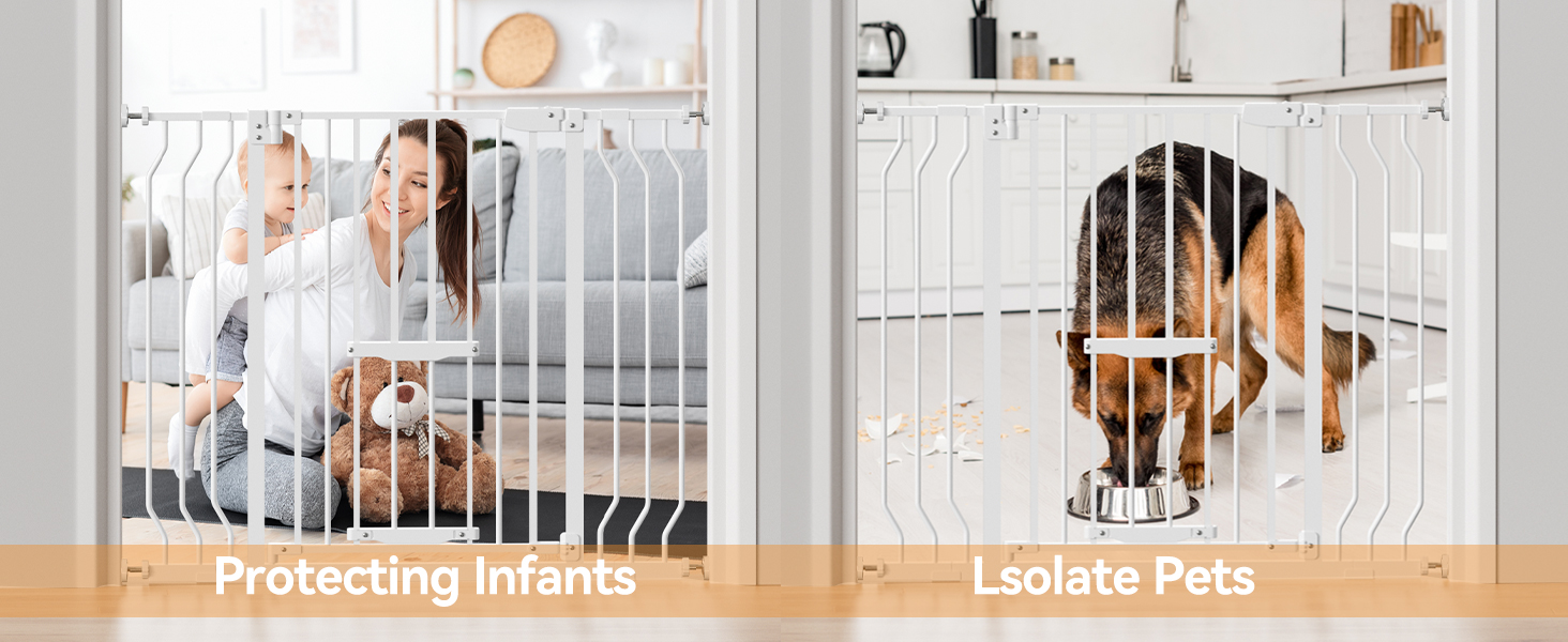 baby gate can protect your child and your pet