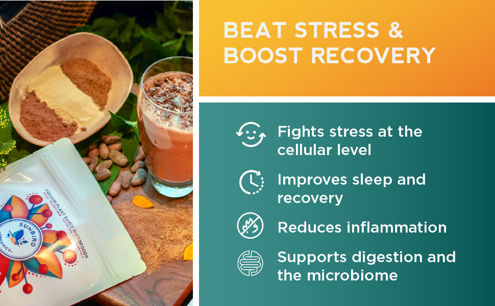Beat stress and boost recovery with Sunbird Organics dark chocolate ashwagandha