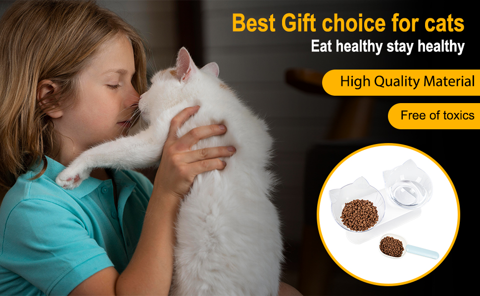 Cat Bowls with Stand Tilted 15° - Raised Cat food bowl with scoop, Anti over-turned and Anti spill Tilted Cat Bowl, Feeding and Water Supplies for Cat 12 Cat Bowls with Stand Tilted