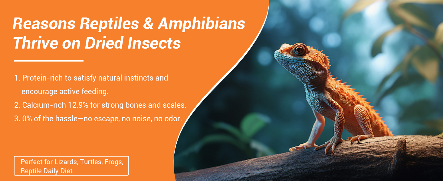 Dried insects for reptiles: 12.9% calcium for strong bones, protein feeding with no odor or escape