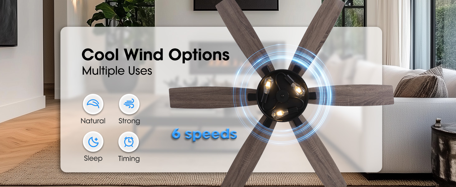 Ceiling Fan with 6 Speeds