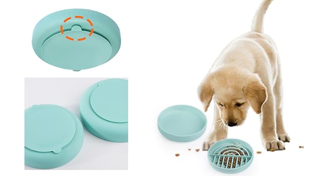 Reliable Suction Cup and Tabs