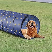 Collapsible Dog Tunnel