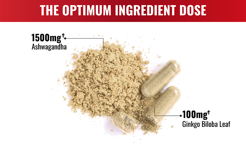 Agobi - Ashwagandha with Ginkgo Biloba - 1600 mg - 240 caps