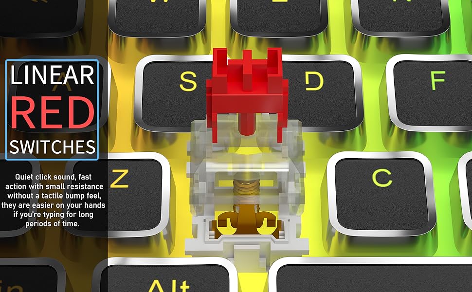 Portable 60 Typewriter Keyboard Wireless, Cute Cool RGB