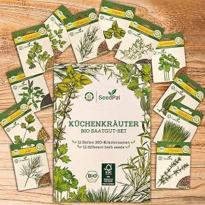 herbe mischung balkon pflanzen anpflanzen