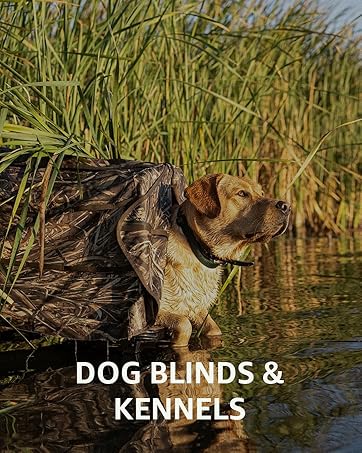 dog blinds kennels
