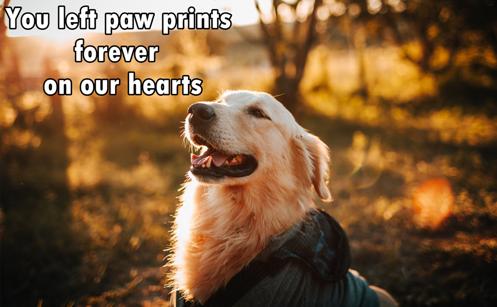 dog memorial gifts 2