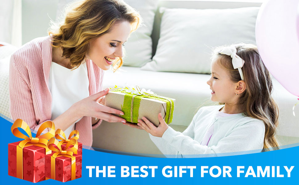 Dog Grooming Scissors 