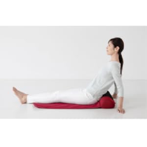 Amazon | ナガラックスフィッテ マッサージ ストレッチ エアー ひねり