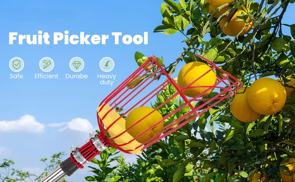 Fruit picker